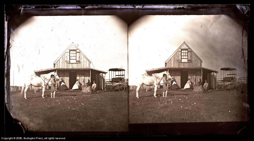 Horse and Cabin, 1870s