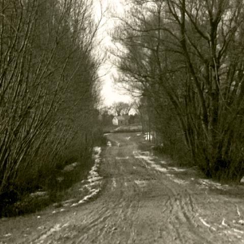 detail of Dirt Road, 1890s