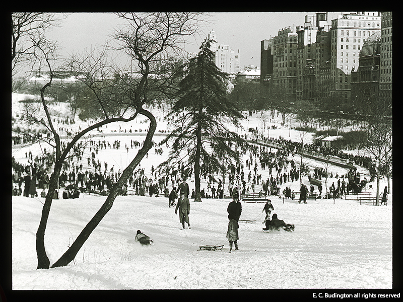 Sledding in Central Park 1935