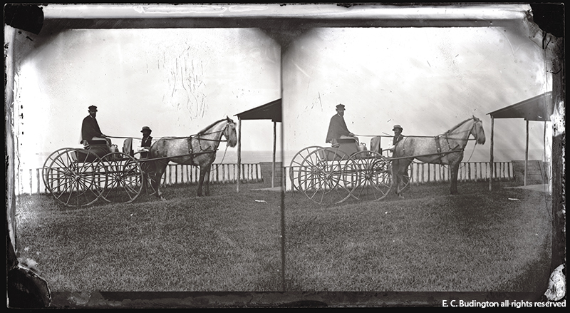 Horse and Wagon, 1870s