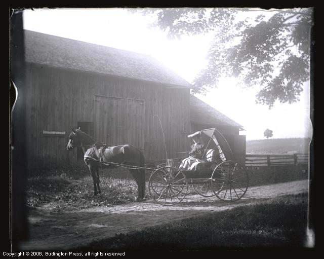 Woman and Buggy